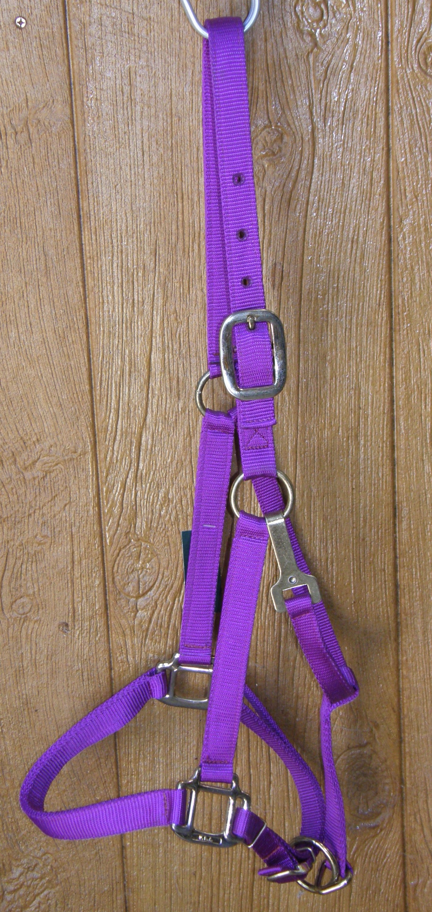halters lg horse draft